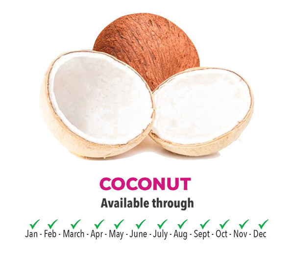 Coconut Season - Montero Farms