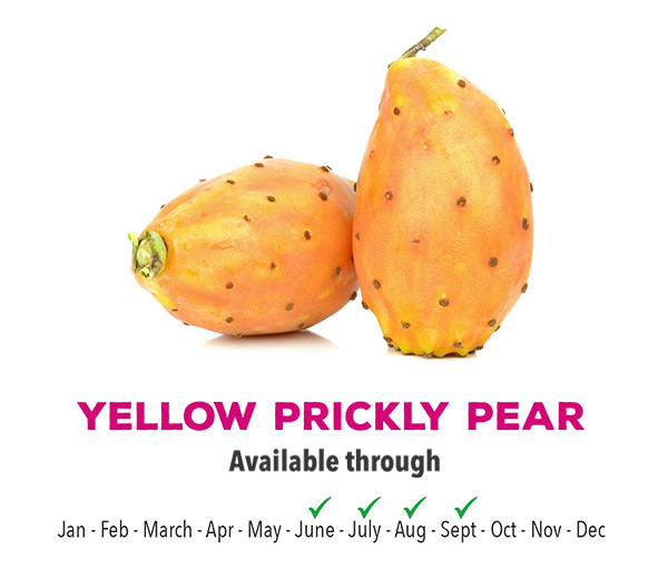 Yellow Prickly Pear Season - Montero Farms