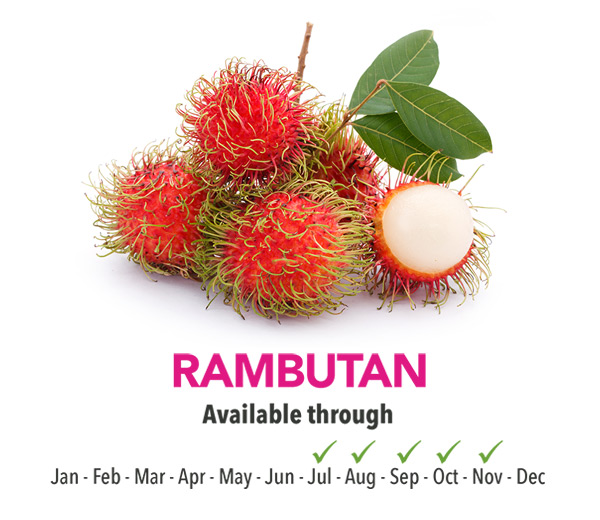 Rambutan Season - Montero Farms