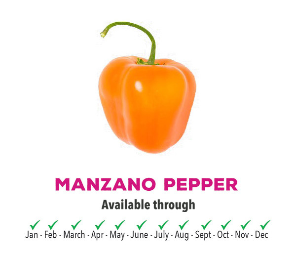 Manzano Pepper Season - Montero Farms