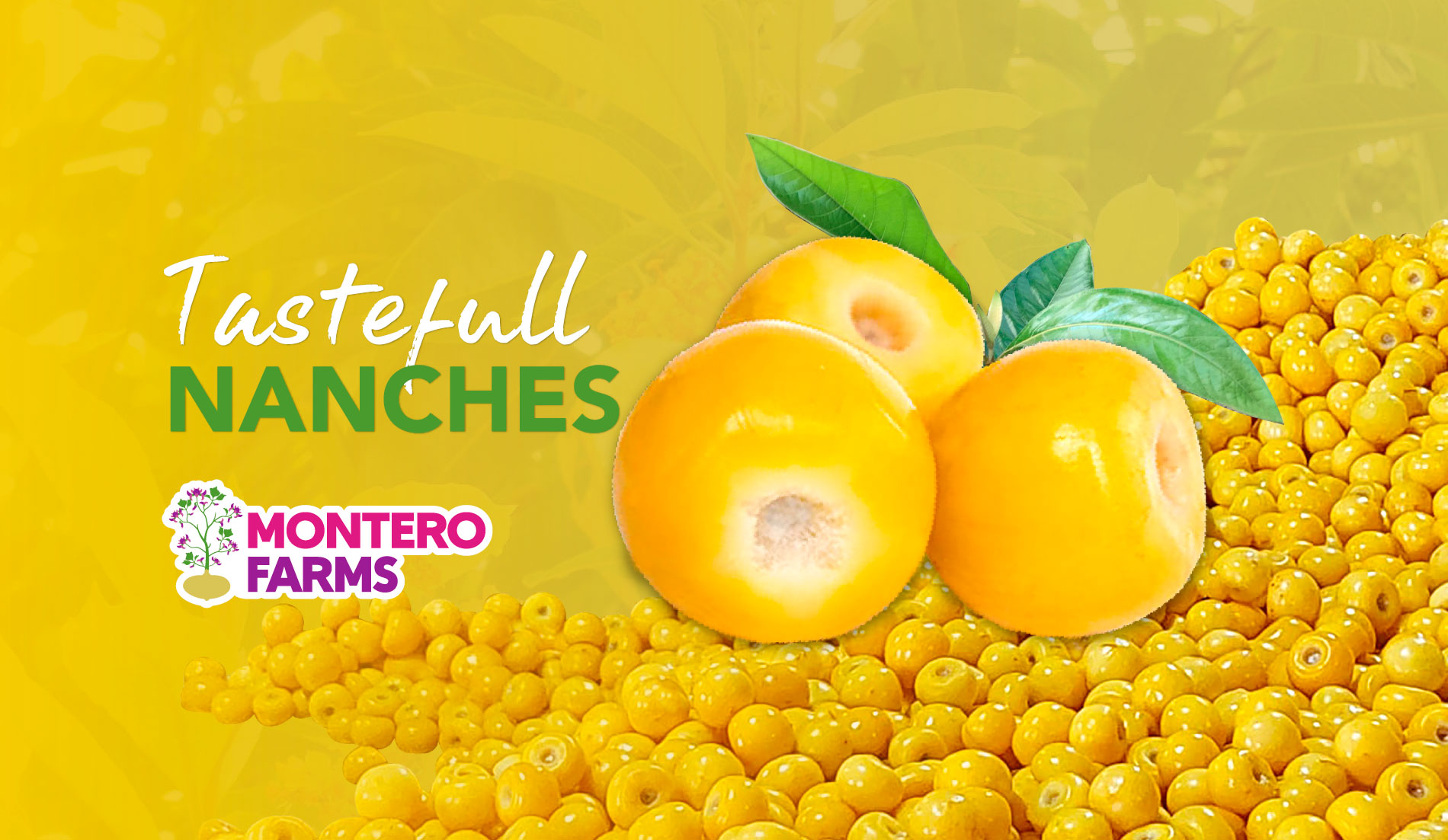 Montero Farms - Produce with passion